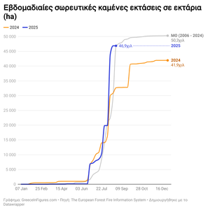 46,9 χιλ. καμένες εκτάσεις στην Ελλάδα έως τα τέλη Αυγούστου 2025. Ήδη περισσότερες από το σύνολο του 2024